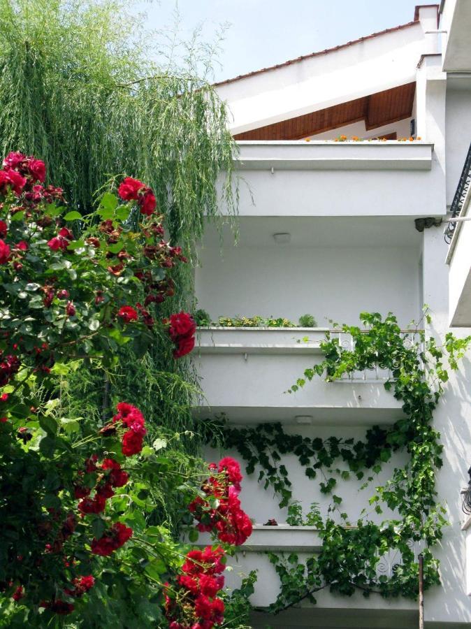 Guest House Barbov 오브조르 외부 사진