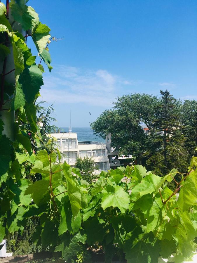 Guest House Barbov 오브조르 외부 사진