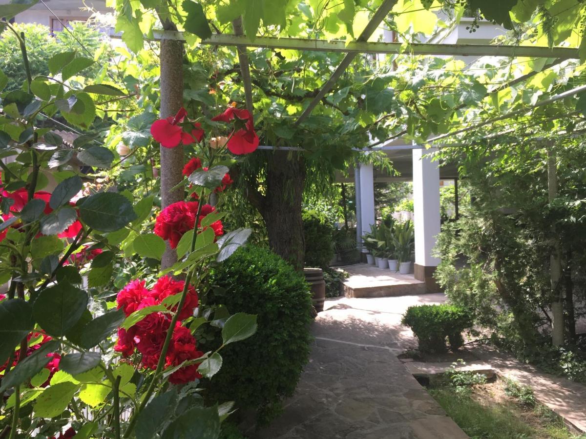 Guest House Barbov 오브조르 외부 사진